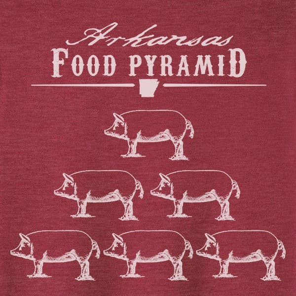 A red shirt with Food Pyramid Arkansas T Shirt drawn on it.