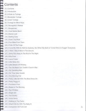 Table of contents of Simply Old Time Dulcimer -by Don Pedi handwritten in a lined notebook, listing chapters with diverse and intriguing titles on traditional music.