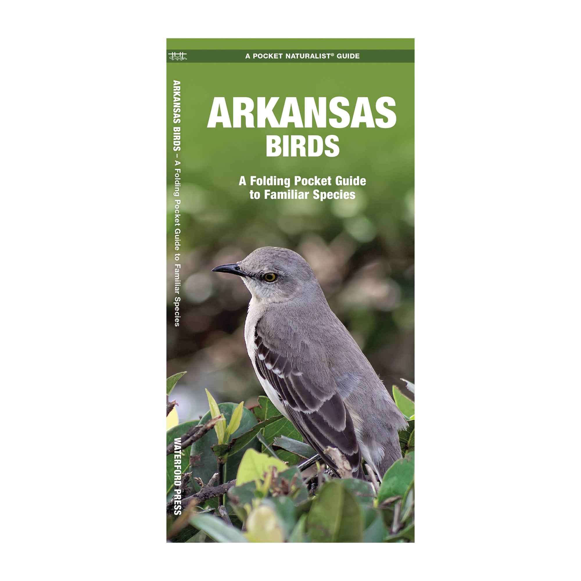 Cover of the "Arkansas Birds" Folding Pocket Guide to Familiar Species, featuring a photo of a grey bird perched in green foliage.