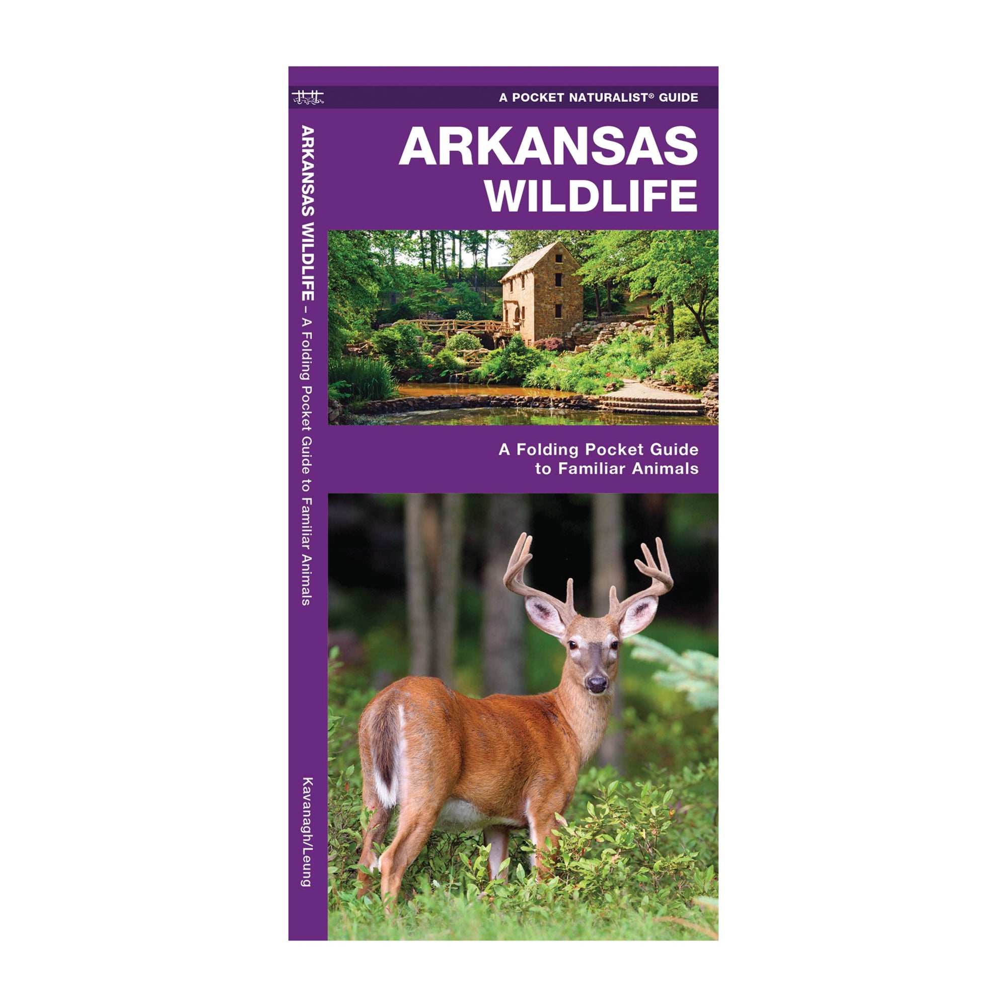 Cover of "Arkansas Wildlife," featuring a deer in a forest and an inset photo of a stone building by a stream, showcasing the nature hotspots of the Natural State