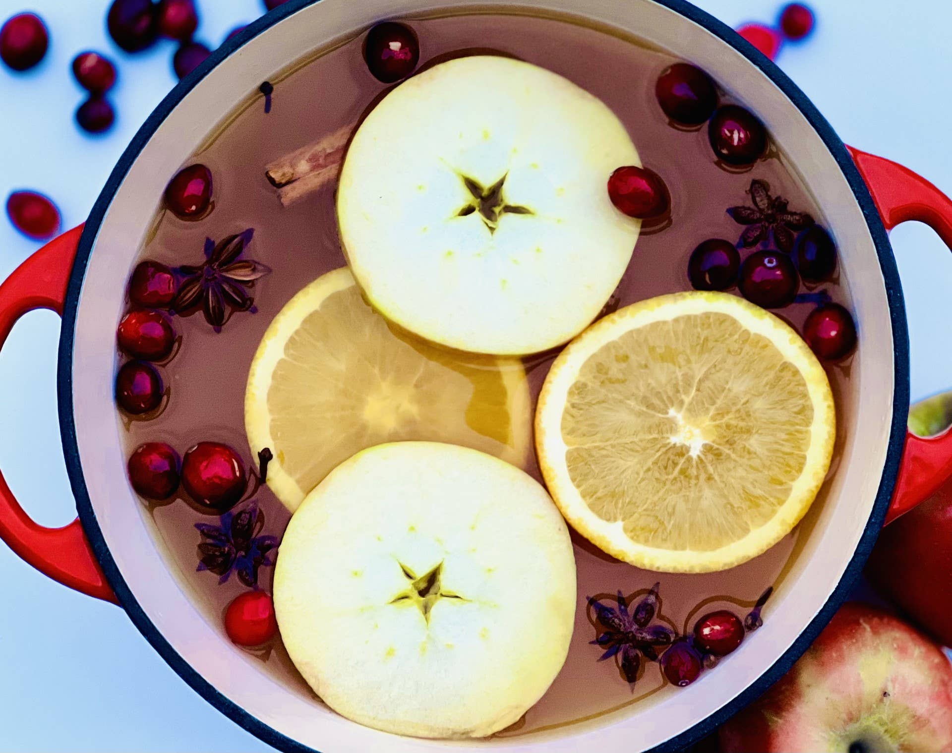 A pot filled with Mulling Spices, including sliced apples, lemons, star anise, Saigon cinnamon, and cranberries, likely prepared for a flavorful beverage or infusion, with additional cranberries scattered around the pot. This aromatic blend could also make a delightful holiday gift.