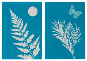 Two Outdoor Discovery Solar Print Kits featuring botanical subjects: the left with a fern and a circular shape, the right with a branch and a butterfly silhouette.