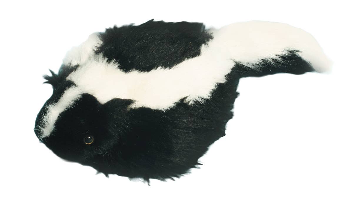 A black and white skunk, seen from above on a white background, inspires the Faux Skunk Hat With Face—a fun novelty gift or unique costume accessory.