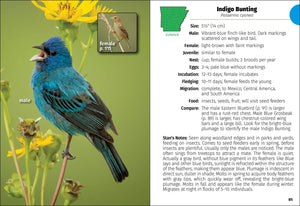 Page from the "Birds of Arkansas Field Guide 2nd Ed" showing a male indigo bunting perched on a branch with an inset image of a female, alongside detailed species information.