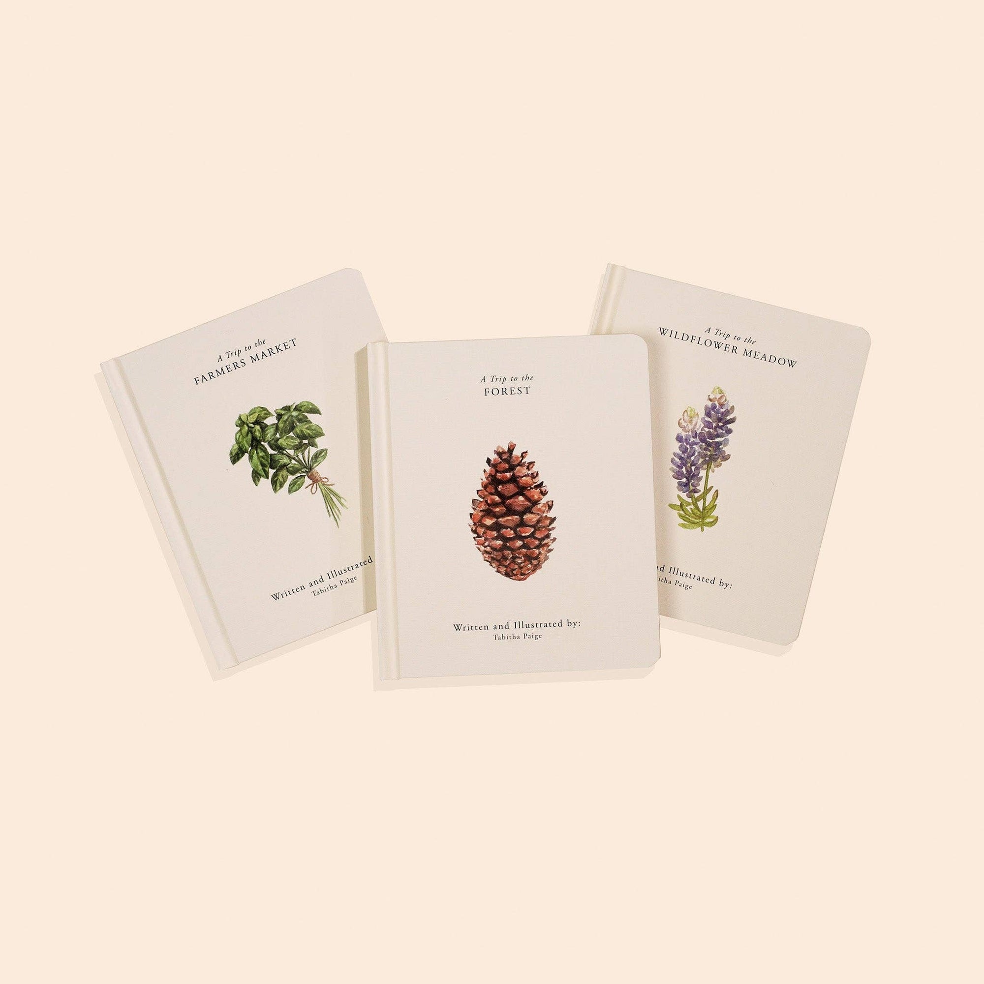 Our Little Adventures Box Set featuring three notebooks adorned with pine cones and herbs on a beige background, perfect for nature lovers and promoting language development.