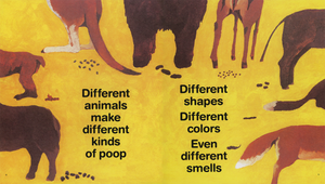 Illustration of various animal hindquarters and their droppings on a yellow background with text stating that different animals produce different kinds of poop in shapes, colors, and smells. This informative and age-appropriate visual is perfect for a toddler classic book titled "Everyone Poops.