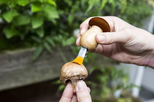Person using a Mushroom Tool Keychain to cut a brown mushroom, holding it near green plants with a first aid kit nearby.