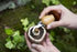 A hand using a Mushroom Tool Keychain to dig in soil, surrounded by lush green plants and a nearby first aid kit.