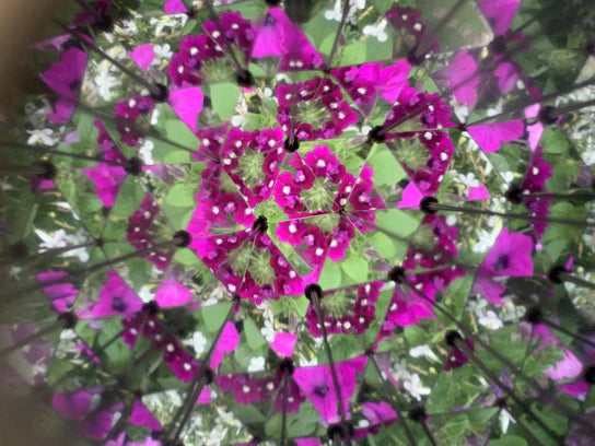 A mesmerizing view through the Huckleberry Kaleidoscope reveals pink and white flowers intertwined with green foliage, forming a stunning and symmetrical geometric pattern that young artisans would undoubtedly admire.