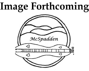 Black and white line drawing of a handcrafted 4FH26CW - 4 String, Flathead, Hourglass 26″ VSL dulcimer with cherry back and sides and walnut top, with the text “McSpadden” and the phrase “Image Forthcoming” above a circular background featuring hills.
