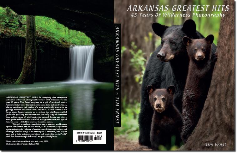 The front cover of Arkansas Greatest Hits by Tim Ernst shows a mother black bear with two cubs in the forest, while the back features a scenic waterfall.