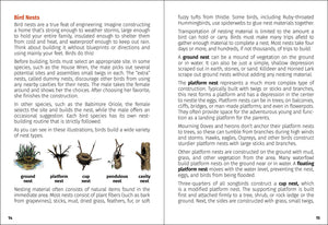 Sentences: Pages from "Birds of Arkansas Field Guide 2nd Ed" describing various bird nest types found in Arkansas, with illustrations and text, including mud nests, cup nests, cavity nests, and platform nests.