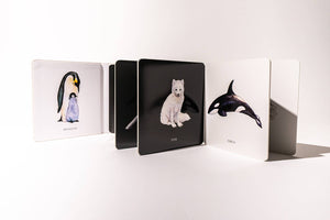 A set of Baby's Black and White Contrast Book with baby animals for visual development.