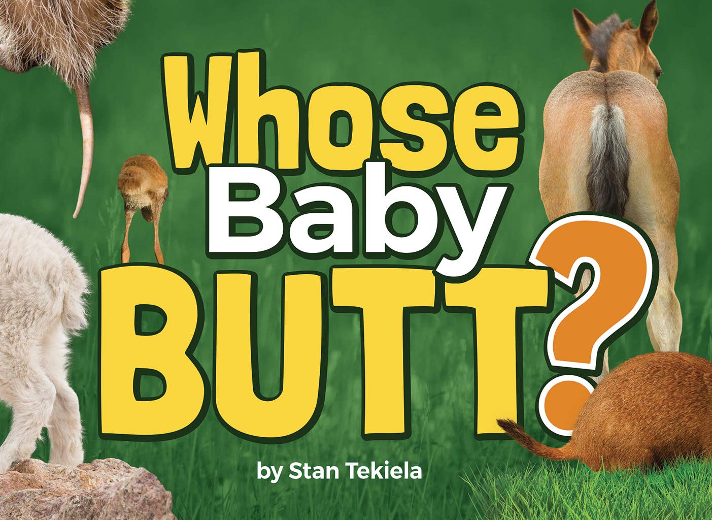 The book "Whose Baby Butt?" by wildlife photographer Stan Tekiela showcases images of various baby animal backsides, presenting some of the silliest sights against a green background.