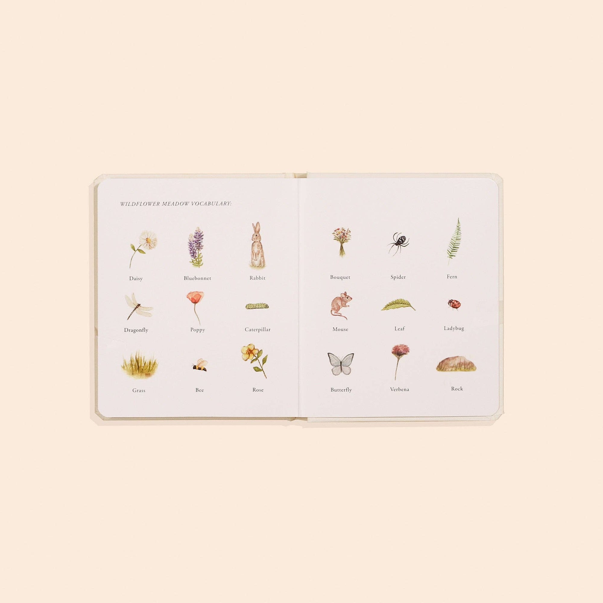 Our Little Adventures Box Set for children featuring enchanting illustrations of flowers and plants, promoting language development through nature exploration.