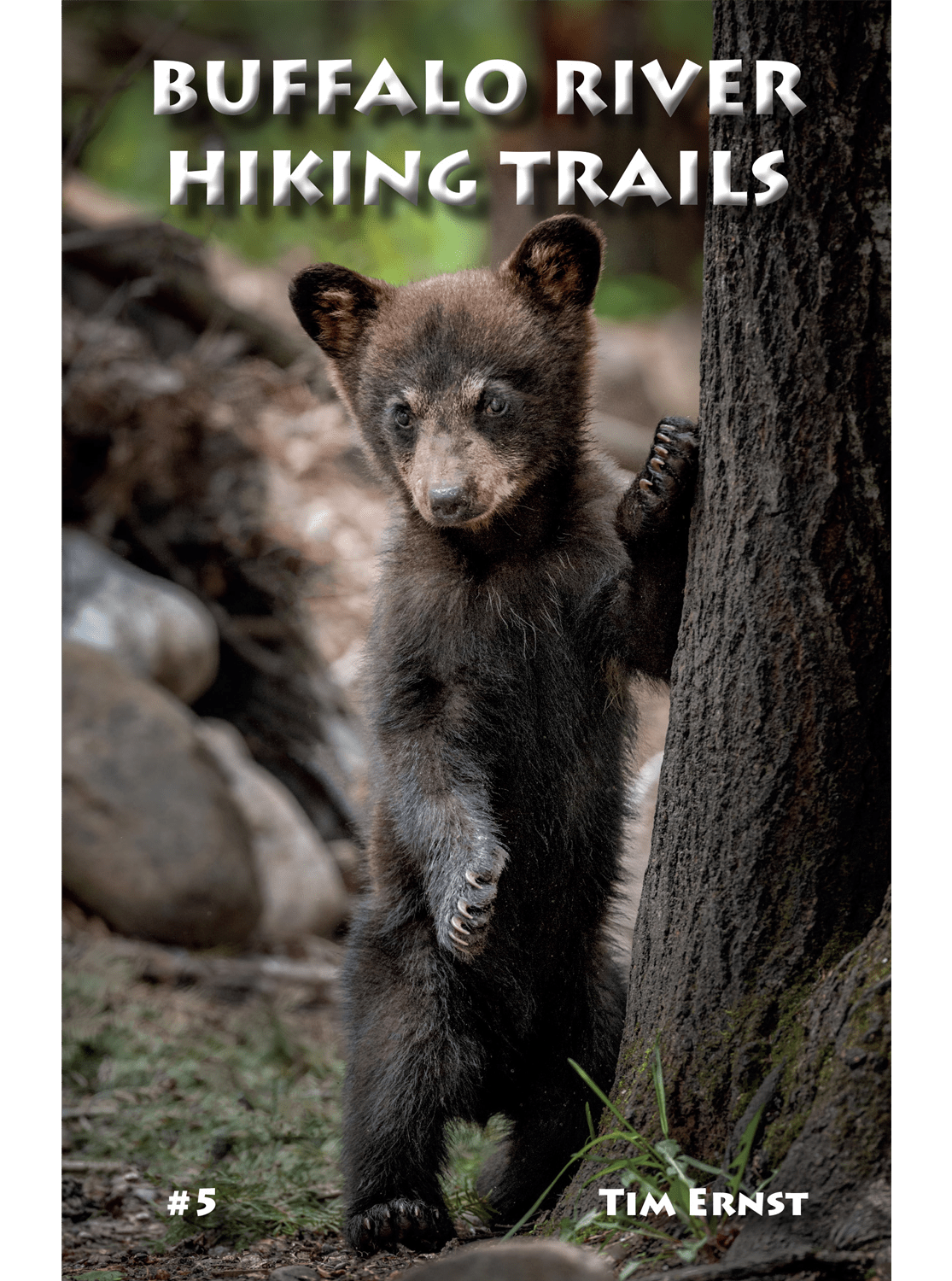 Buffalo River Hiking Trails #5 offer a variety of scenic routes through breathtaking landscapes. With GPS coordinates at your fingertips, exploring these trails has never been easier. Immerse yourself in nature as you discover hidden treasures.