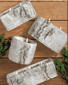 Four White Woods Small Square Swan Creek Candles in birch bark containers are arranged on a wooden surface with two sprigs of greenery in the corners.