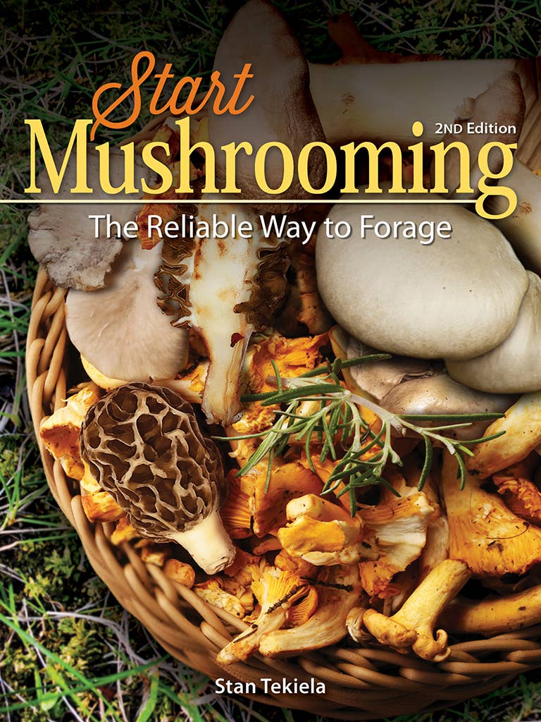 Start Mushrooming for edible ones.