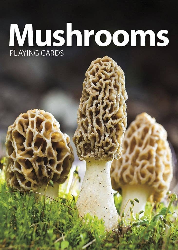 Explore the fascinating world of mushrooms and their intricate designs while playing Mushrooms Playing Cards. Enhance your knowledge of plant life with these Mushroom Identification Guides, perfect for those who appreciate the wonders of nature.