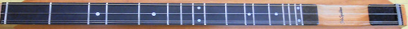 An upgraded guitar with a solar panel on top and an Ebony Fretboard.