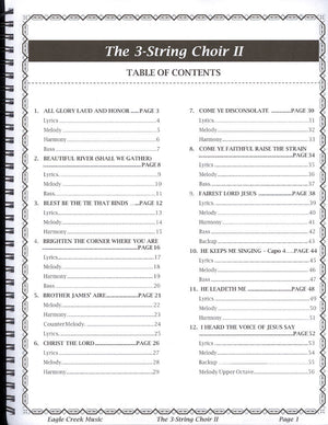 The 3-String Choir Vol II - by Tull Glazener